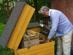 Jørgen Jørgensen kigger til sine bier